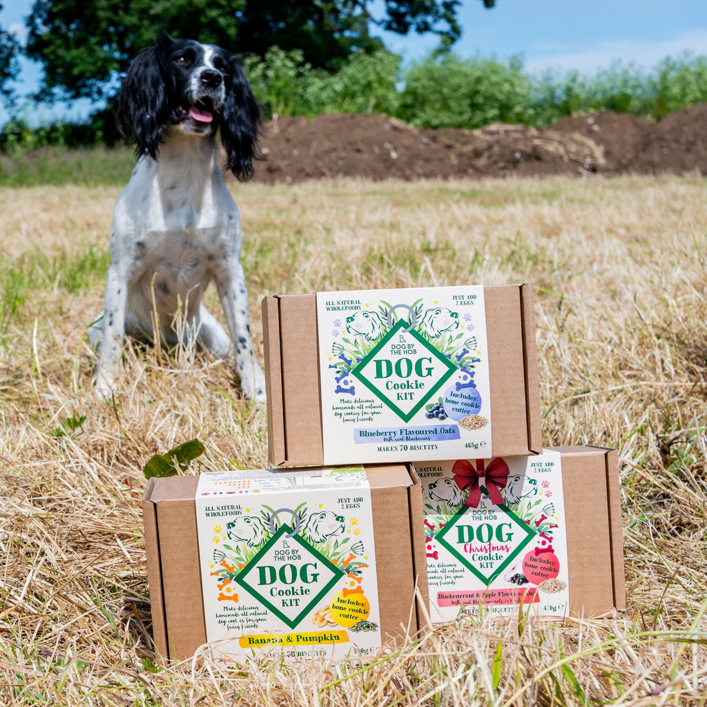 Dog Cookie Making Kit | Banana & Pumpkin Seed