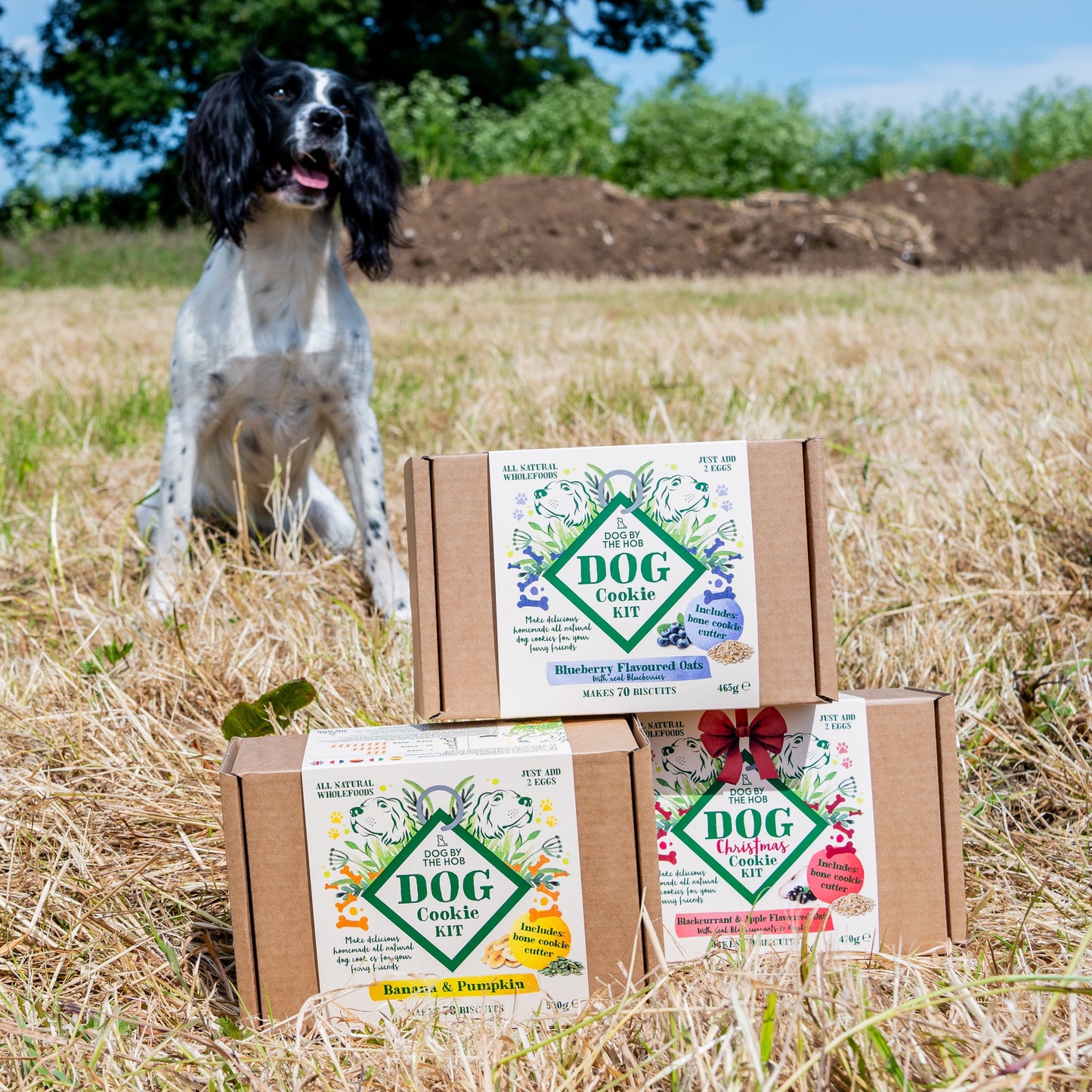 Dog Cookie Making Kit | Blueberry & Oat